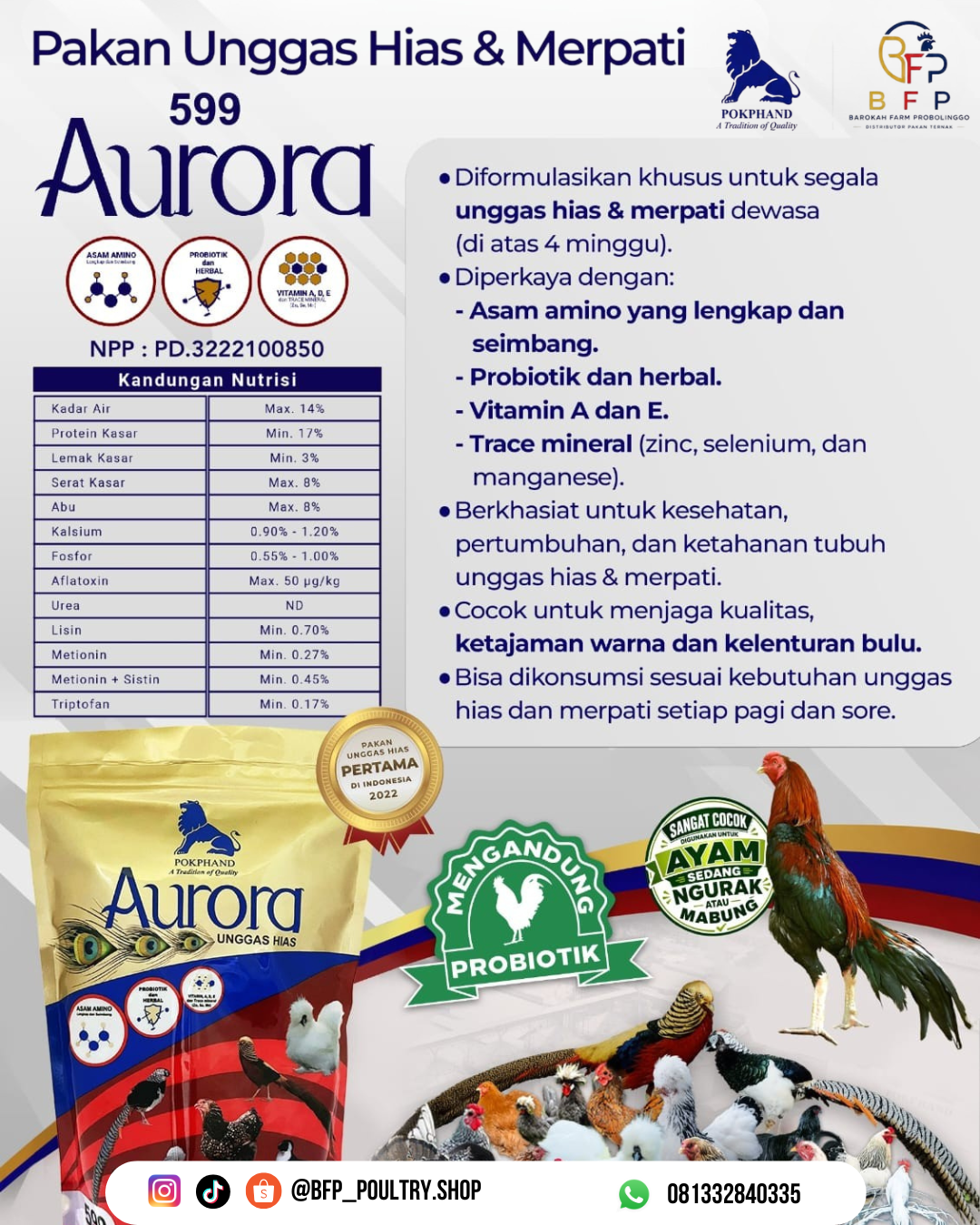 599AURORA
